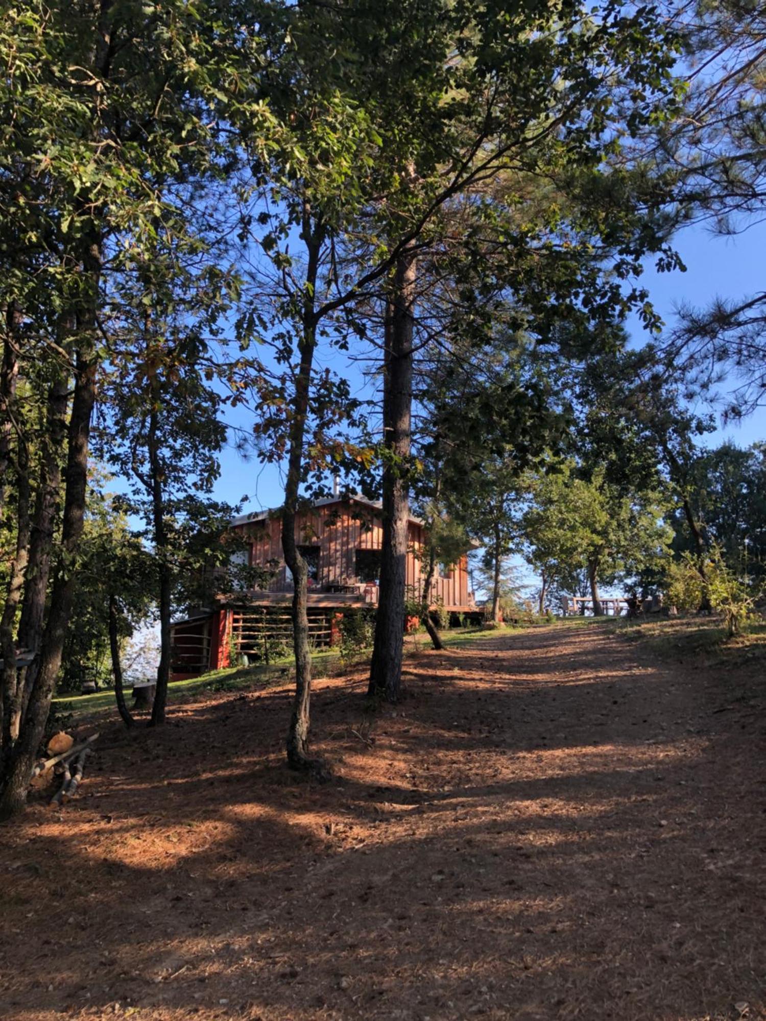 Bed and Breakfast Reve D'Etoiles Saint-Laurent-de-Cerdans Zewnętrze zdjęcie